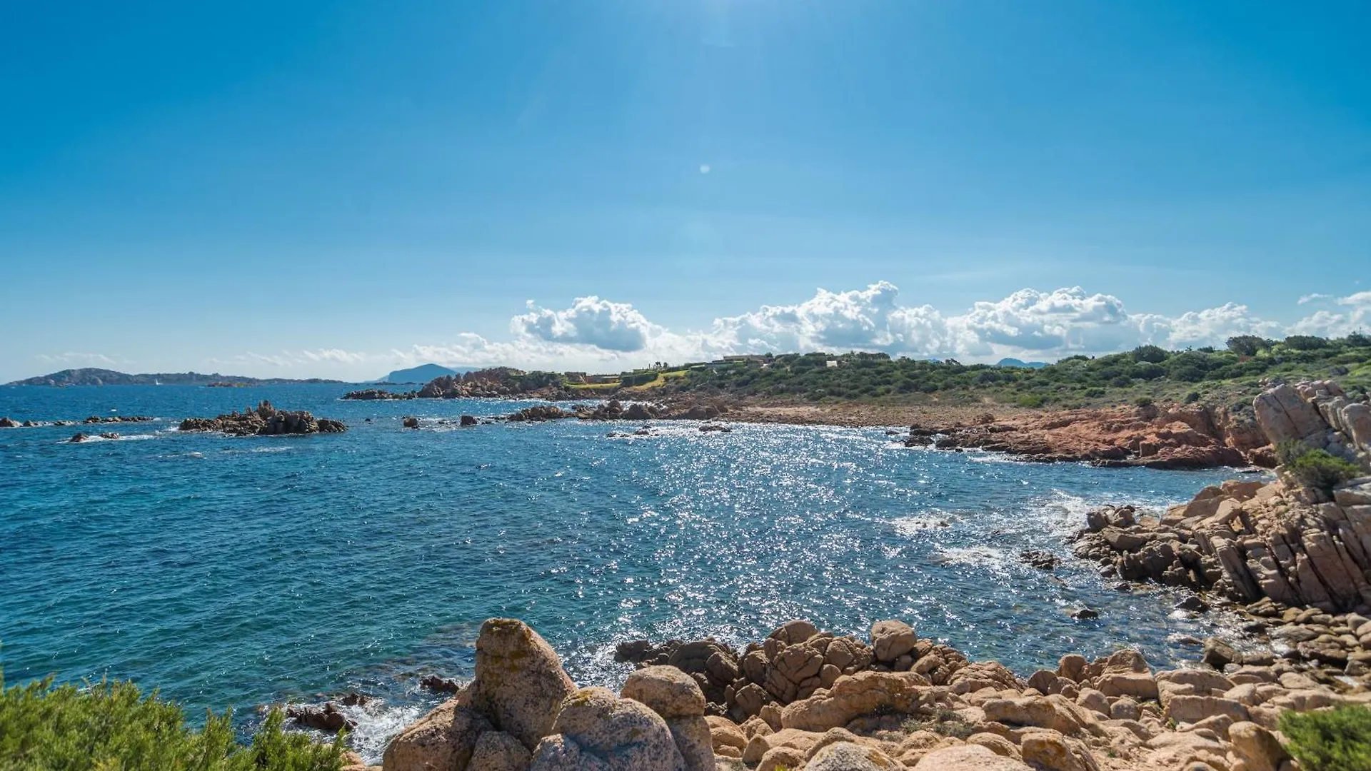 Quercus Ilex A Lejlighed Arzachena Italien